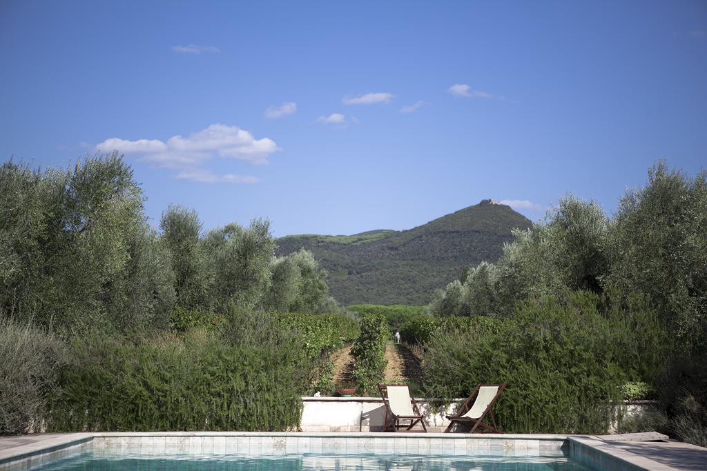 Agriturismo Tra Gli Ulivi, Chiappini Villa Bolgheri Exterior photo